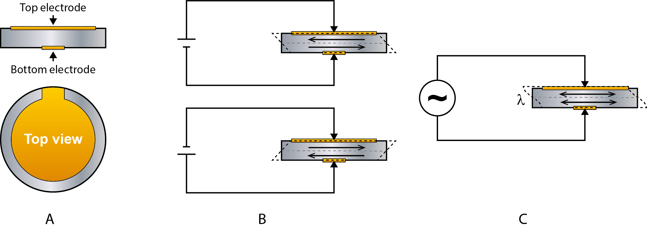 Exploring QCM Technology How Quartz Crystal Microbalance Works